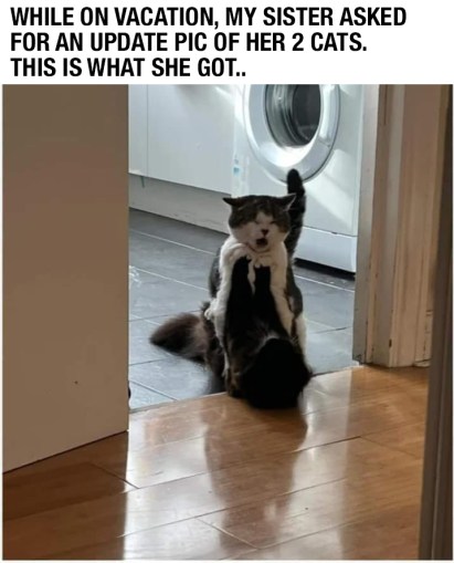 374386881_706562734847250_3642556440324769546_n