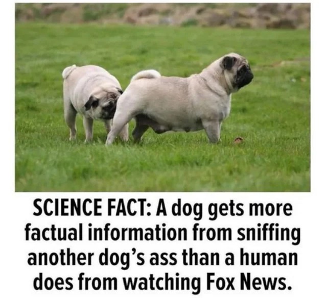 378682706_720842170086899_2443279941972497665_n