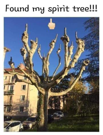 378877880_871117591037672_7054885758299310622_n