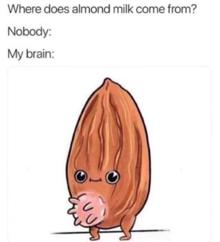 379271329_3535233796714006_683665594133469420_n