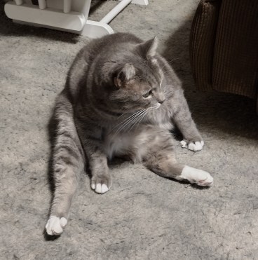 img_20230908_222507047_hdr2499526076767604627