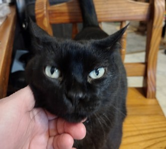 img_20230916_085005053_hdr7119100329501300896