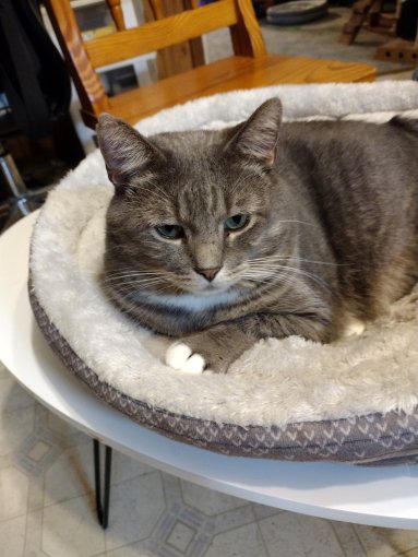 img_20230919_0946149023763073560697661339