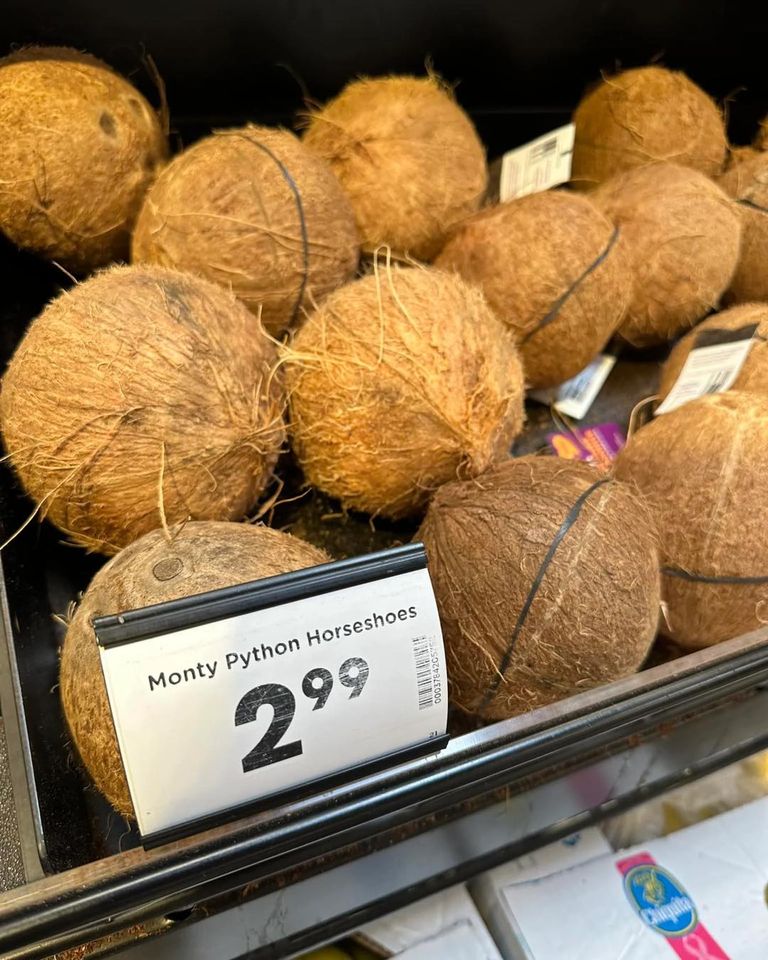 394028264_846705704130287_4994469525191858864_n