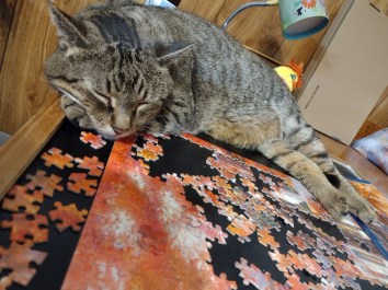 IMG_20220927_215301528