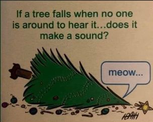 409178428_753459770156112_1575857735320480227_n