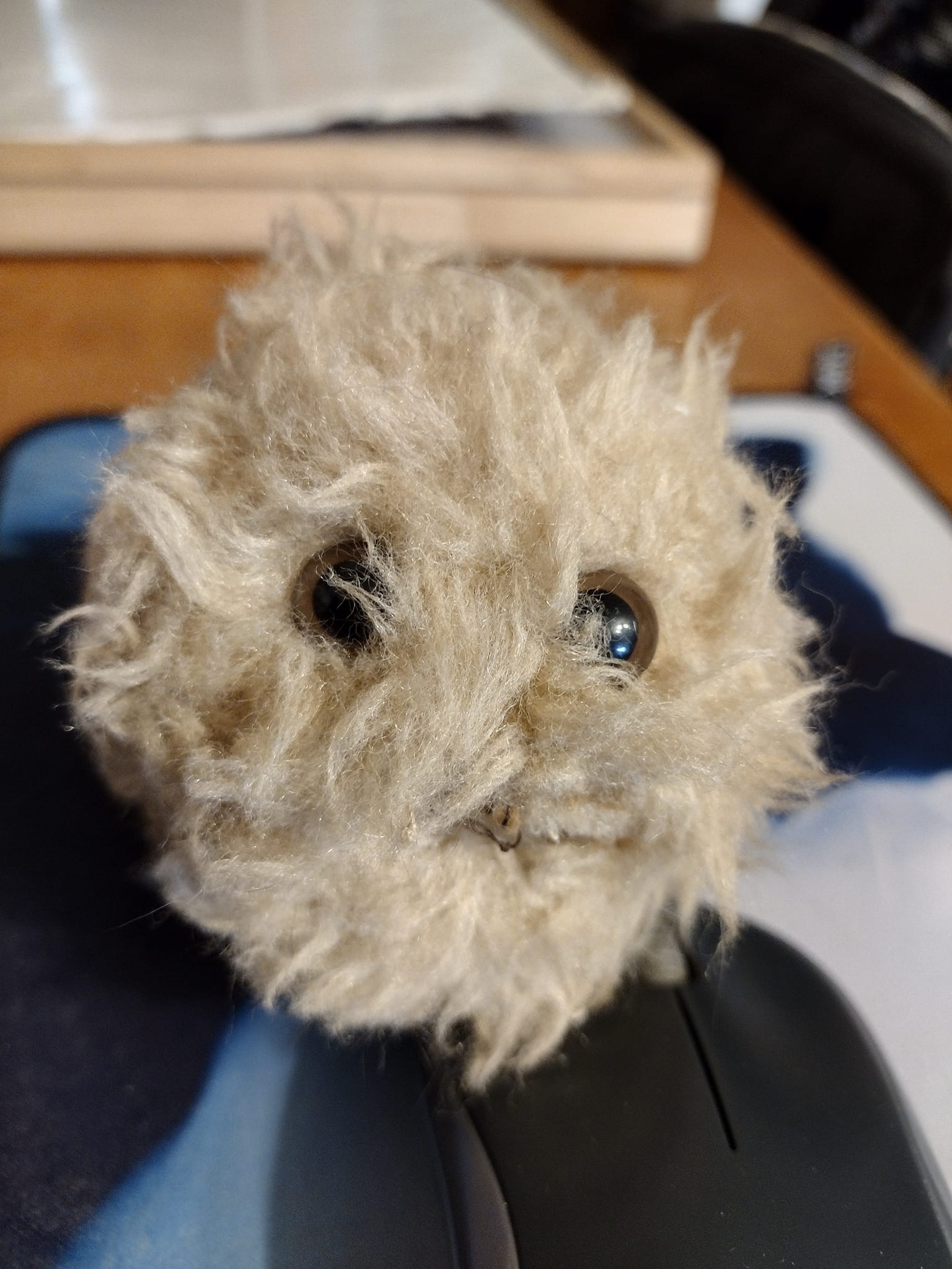 416299467_10161024722474299_7198271963770307039_n