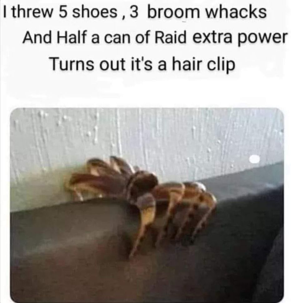 418730324_370568788956811_5746420400630935407_n