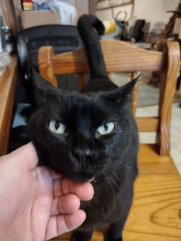 img_20230916_085005053_hdr391774046213629790