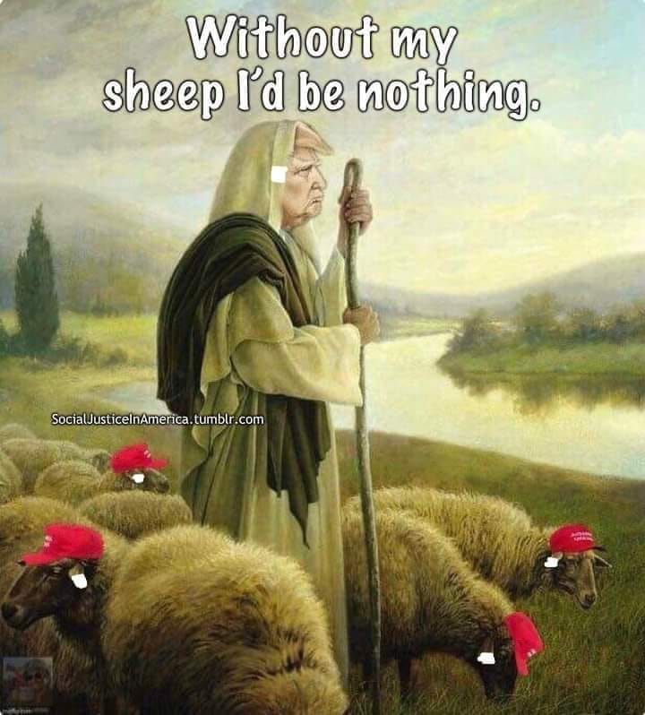 451857092_7797367123633285_5978867695210948565_n