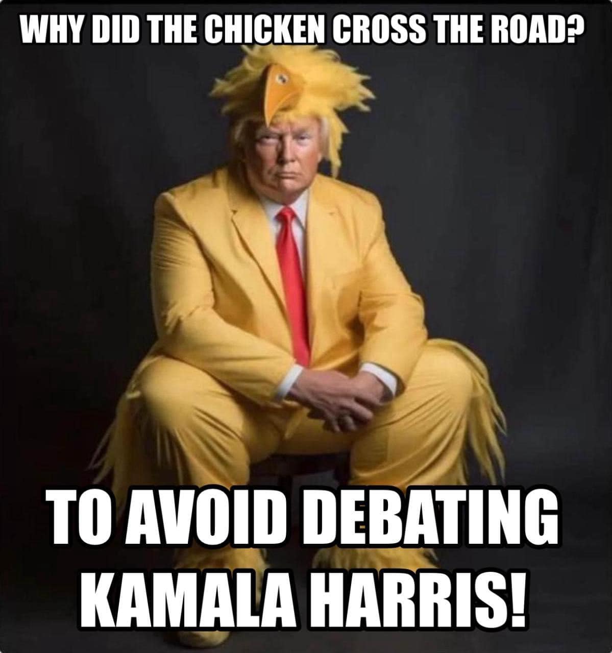 453231562_921073343365988_8810507086885715066_n