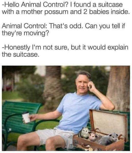 454293261_798319689137853_306059749032863820_n