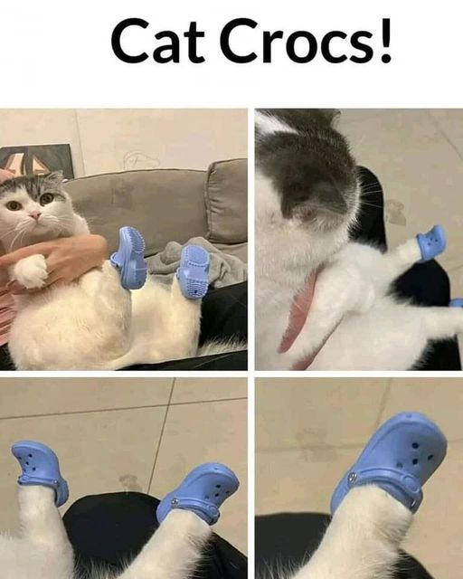 454351501_475570932004420_2759644516274034537_n