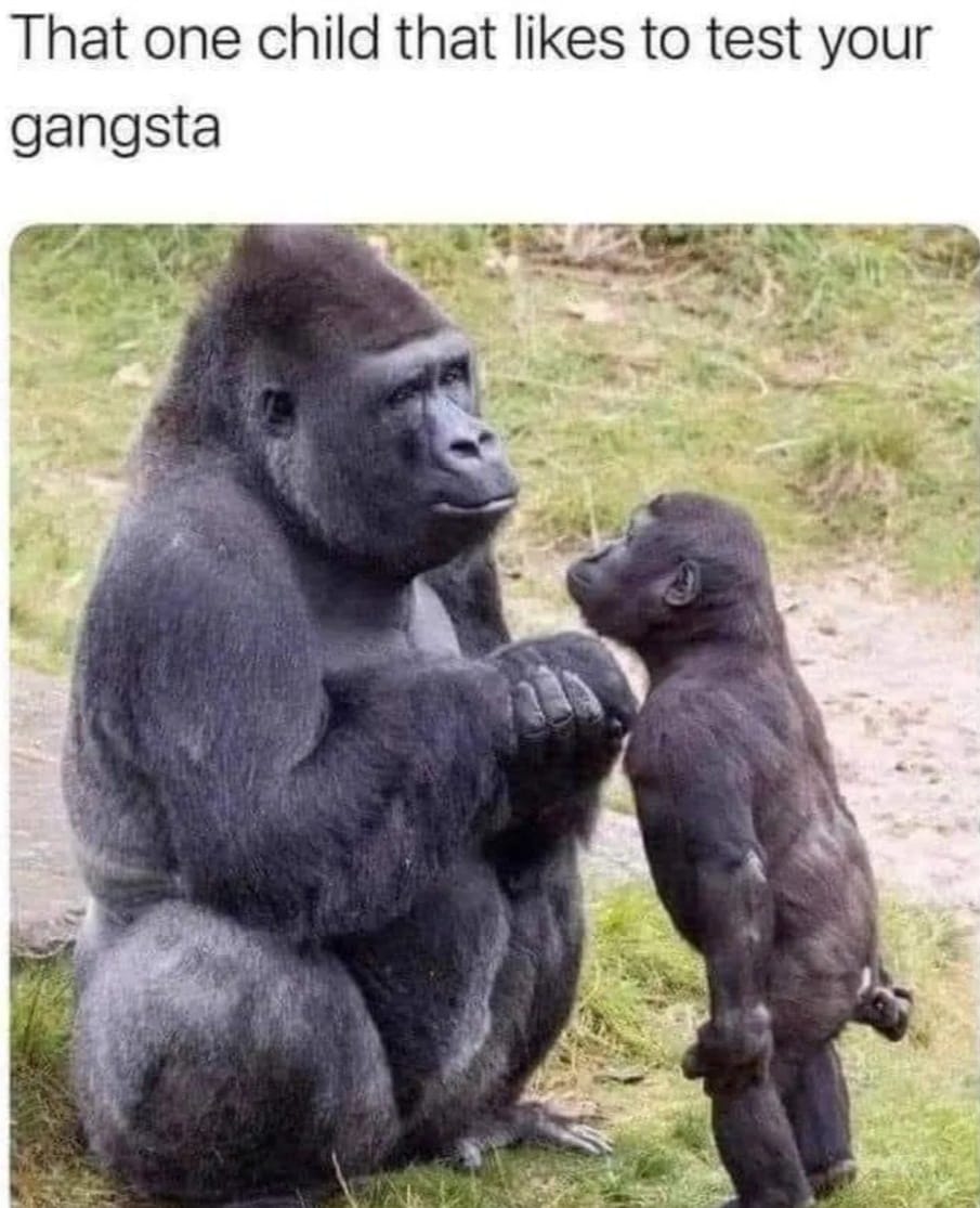 454548528_2793315677492016_871539707431952654_n