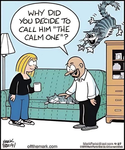 455030444_7884869224930957_2066622484407974187_n