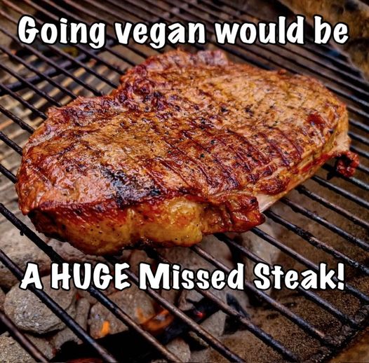 455148063_1030321208538321_5758410408323942710_n