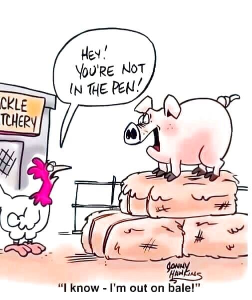 455839265_418814921205235_9067176424224617007_n