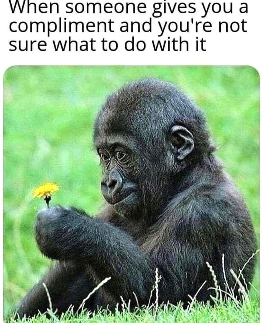 fb_img_17247813271652652284391103957705