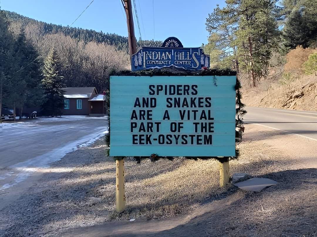 fb_img_17249541607253864673058671387479