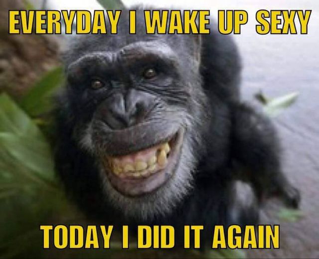 14708312_837800996322674_8753464201263905331_n