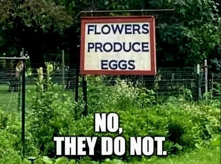 456622385_517922257395409_4846704176491084793_n