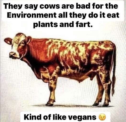 456779153_1036893694547739_8177091764592481108_n