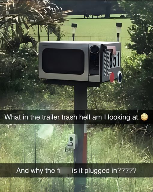 458776464_375376212279695_91007819280622411_n