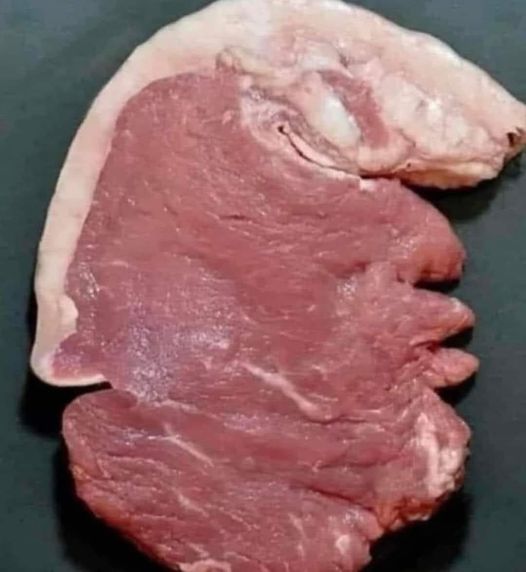 460472784_1012791833864060_4093845450619751024_n