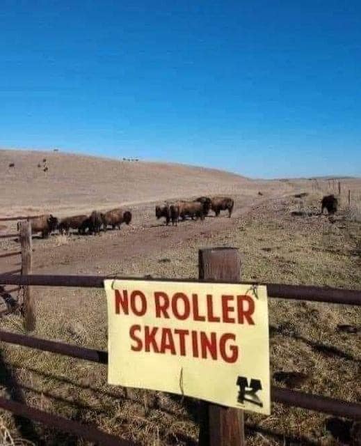 460617812_2297996923867948_370082928269414889_n