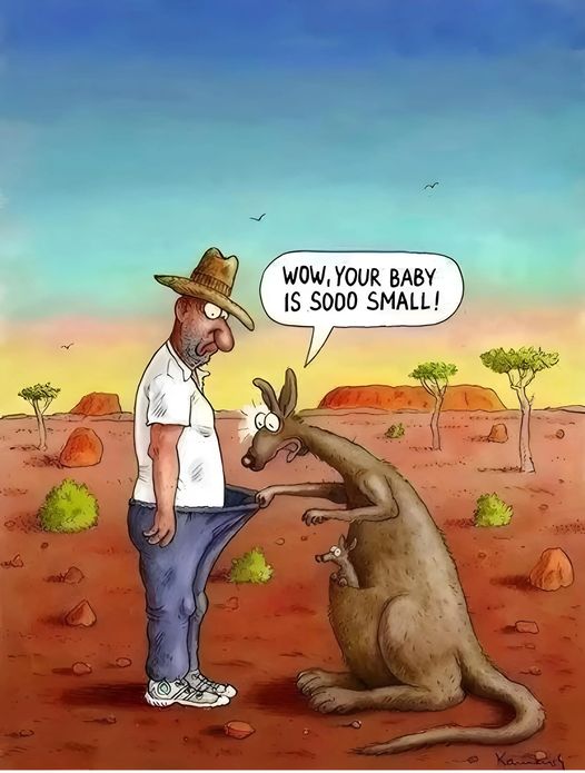 460621651_857002159871354_7882928495106534837_n