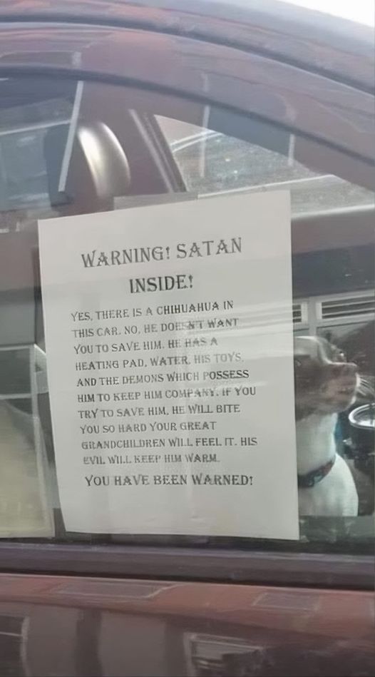 460729539_122156640638249417_5193675428002487184_n