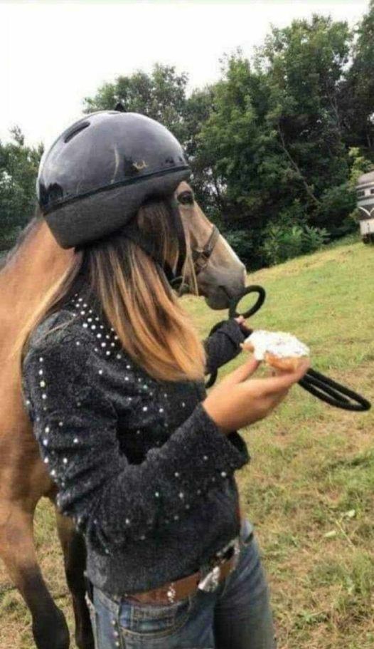 460763462_1243489290108278_1714555216105423674_n