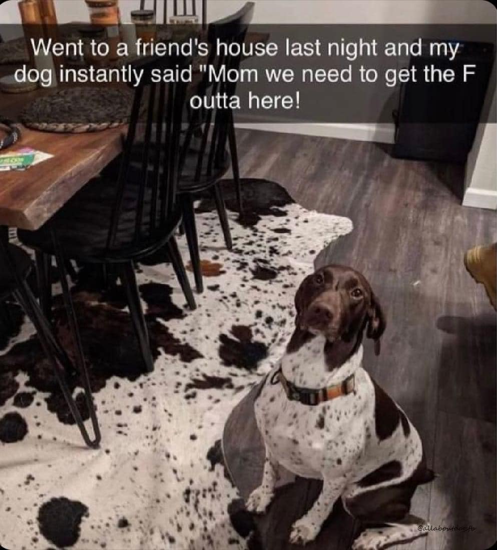 460855005_1067279358287432_3952727089673369385_n