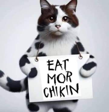 fb_img_17261645991473128491640907809826