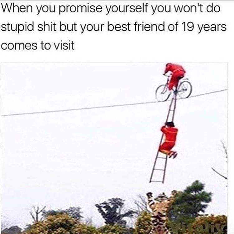 fb_img_1727110877488942902035257936279