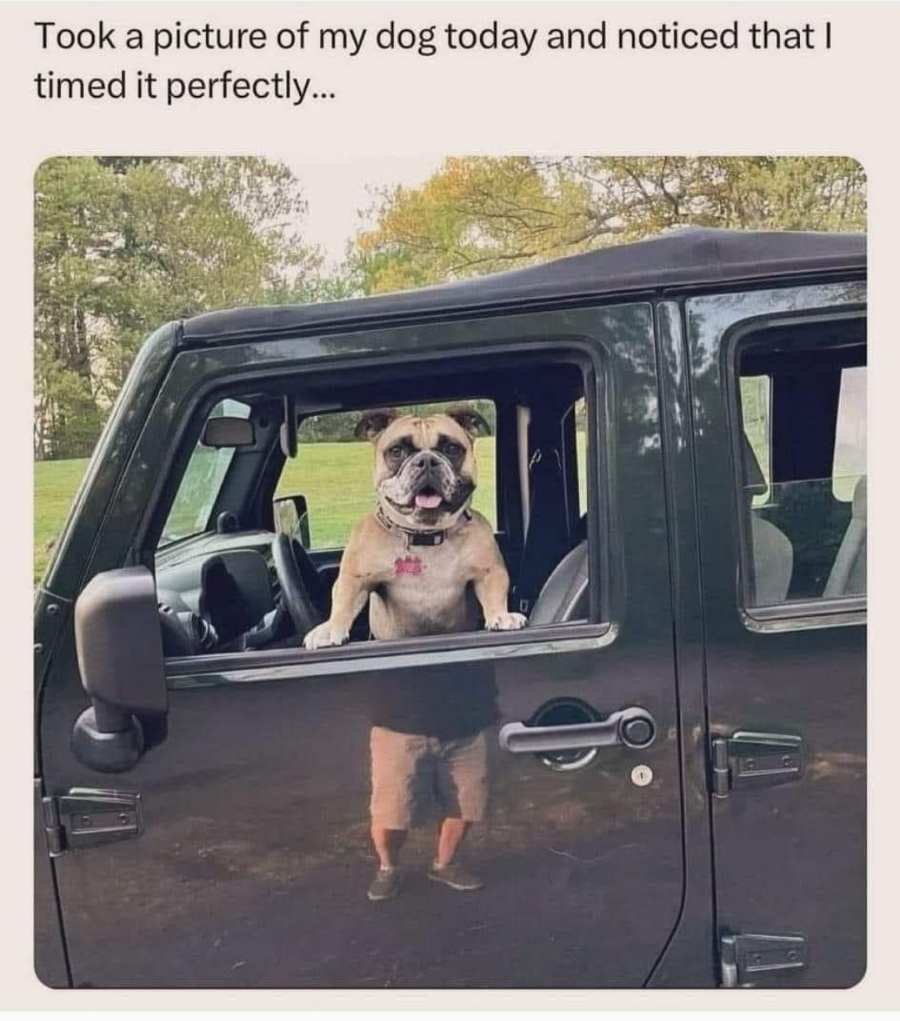 screenshot_20240921-0012544106024371760124621