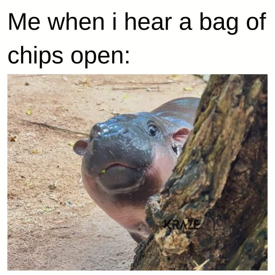 fb_img_17280658547875184173382795543311