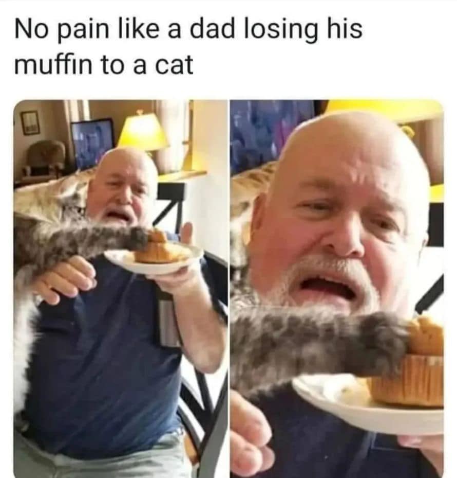 462211260_954728356693430_5164178497700649326_n