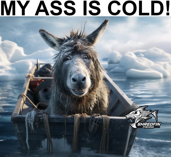 471636105_605650248778682_6221532532728259021_n