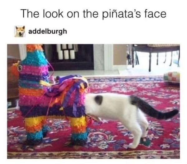 472534688_1020533440117728_9134828508554135290_n